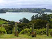 just one of the wineries on the island just one of the wineries on the island