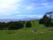 The rocks that Stony Batter were named for. Looking over to Great Barrier Island The rocks that Stony Batter were named for. Looking over to Great Barrier Island