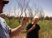 Examining the Thorny Devil Examining the Thorny Devil