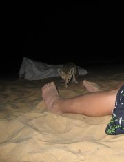 A momma Desert Fox eyes John's feet. She came quite close. A momma Desert Fox eyes John's feet. She came quite close.
