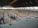 Xi'an travelogue picture