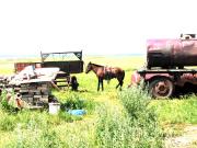 Traditional horse between modern machinery. This was the runaway.