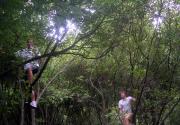Climbing boys. They like to hike and climb like monkeys Climbing boys. They like to hike and climb like monkeys