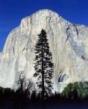ElCapitan - watch Rock Climbs Accend ElCapitan - watch Rock Climbs Accend