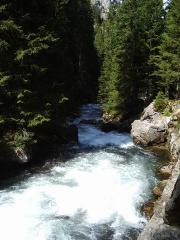 mountain stream in Koscieliska Valley