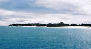 A view of Nungwi beach from the boat that took us snorkling. A view of Nungwi beach from the boat that took us snorkling.