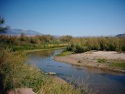 Virgin River