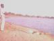Uluru