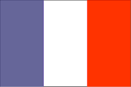 Flag of St. Martin
