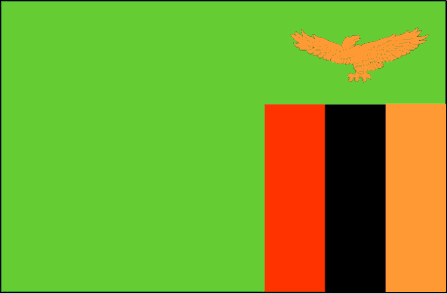 Flag of Zambia