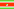 information about suriname
