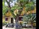 Afonso Guesthouse