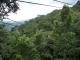 Antigua Canopy Tours
