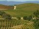 Artesa Winery