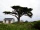 Cape of Good Hope