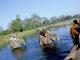 Chitwan National Parks (Wildlife Safari)