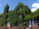 Crown Inn at Hopton Wafers