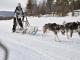 Engholm Husky Lodge