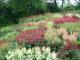 Holehird Gardens