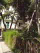 Hotel Periandros