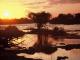 Kruger National Park