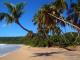 La Sagesse Nature Reserve