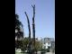 Lafayette Park