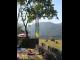 Tea Garden