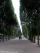 Les Jardins Des Plantes