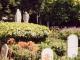 Mision Dolores Cemetery