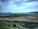 National Seabird Centre