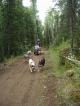 Plettner Sled Dog Kennels