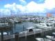 Poop Deck
