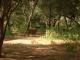 Ranthambore National Park