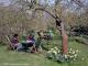 The Orchard