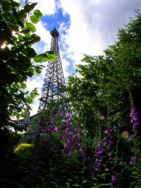 picture