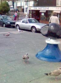 picture