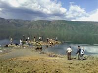 picture