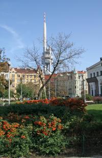 picture