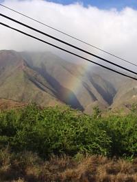 Just moved to Maui!