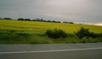 On our way to the 'Peg