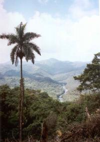 Stranding in sight of the top from El Junci - part 1