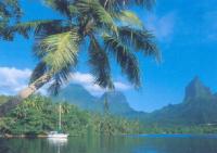 Moorea Island