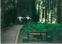 Founders tree