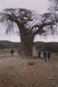 Our first day in Zimbabwe