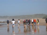 Wild Coast Meander