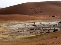 The changing colours of the desert