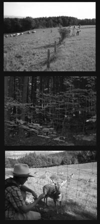 A Day Hike in the Bavarian Forest