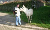 The pilgrim and the donkey
