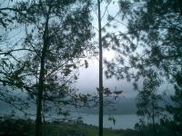 I perceived the manifestation of God in the Nature